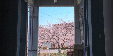 菱源から見える「桜」